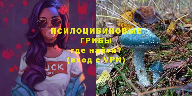 наркошоп  Невьянск  Галлюциногенные грибы Magic Shrooms 